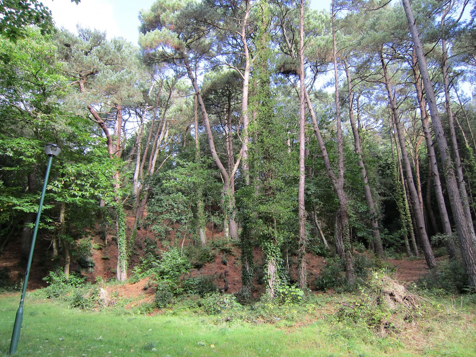 The sandy beach and wooded chine at Alum Chine, Bournemouth